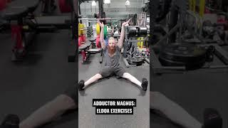 ELDOA EXERCISES FOR THE ADDUCTOR MAGNUS MUSCLE!!! #Shorts