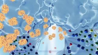 GlycanAssure Glycan Analysis Technology