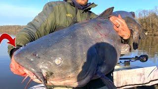 Epic 88lb Catfish Battle - Fishing For Giant Catfish on a Big River