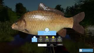 Russian Fishing 4 F1 RARE Trophy - Copper Lake