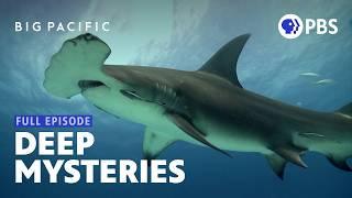 The Mysteries of Earth's Largest Ocean | Big Pacific | Full Episode 1 | PBS