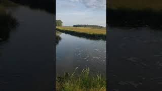 Green goshen water flow