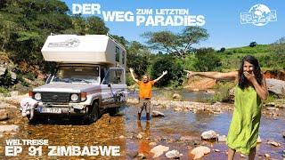 Verborgene Wasserfälle im Urwald Afrikas. 4x4 Abenteuer zu Tessas Pool |Weltreise EP91