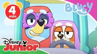  Bluey - Clip: Die coolsten Familienspiele | Disney Junior