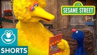 Sesame Street: Celebrate Big Bird's Birthday | Give the Gift of Education