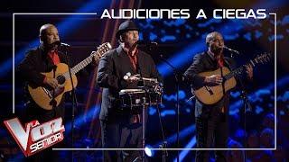 Los Orlando cantan ' Lágrimas negras' | Audiciones a ciegas | La Voz Senior Antena 3 2019