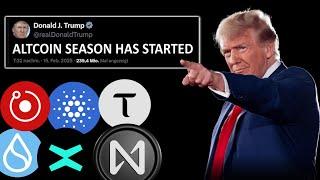 Crypto: TRUMP DID IT! Altcoins in the spotlight for the first time!