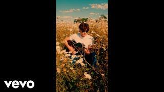 Bradley Simpson - Daisies (Official Visualiser)