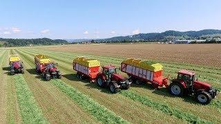 4 Ladewagen bei der Luzerneernte im Einsatz für die Grastrocknungsanlage