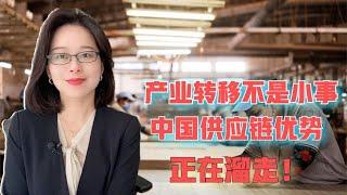 企业外迁绝非小事，中国供应链优势正在眼皮子底下溜走，要注意了