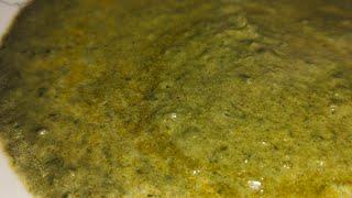 Jama ka saag / Tara Mira ka saag recipe / doodh wala Saag /تارا میرا کا ساگ بنانے کا طریقہ