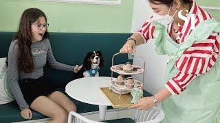 Pet cafe in Dubai pampers pooches with pupcakes and puppacinos