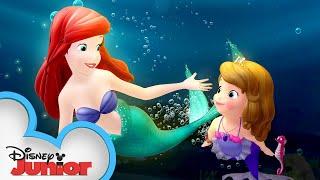 Sofia Meets Ariel! | Sofia the First | @disneyjr