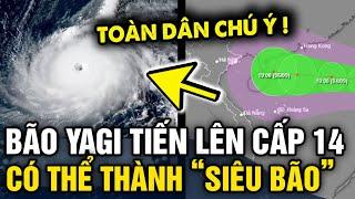 Tin bão Yagi mới nhất SẼ LÊN CẤP 14 và có khả năng phát triển thành SIÊU BÃO số 3 2024 | Tin 3 Phút