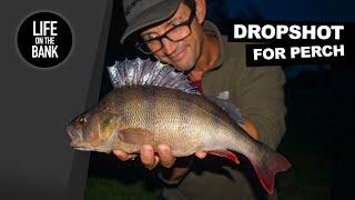 DROPSHOT FISHING FOR PERCH