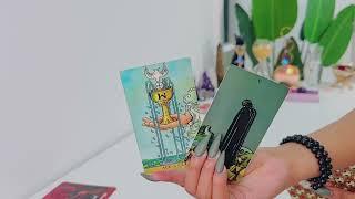 CAPRICORN ️ | They're About To Tell You Exactly How They Feel About You! - Capricorn Tarot Reading