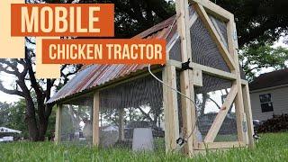 Building  A Mobile Chicken Tractor for Our Backyard HOMESTEAD