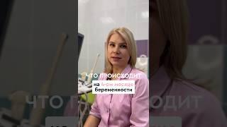 Что происходит на 4 месяце беременности. #гинекология #беременность