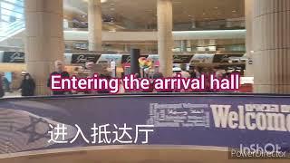 抵达特拉维夫机场的入境指南 Arrival Instructions at Tel Aviv Airport