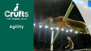 Agility - International Invitation - Large Agility Finals | Crufts 2023