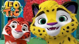 LEO and TIG  LIVE  Best episodes  Moolt Kids Toons Happy Bear