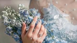 Лаьтта со хьо лар веш//irse.bezaam