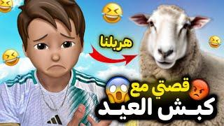 قصتي مع كبش العيد 