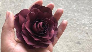 Simple and easy paper flower making tutorial | DIY paper crafts