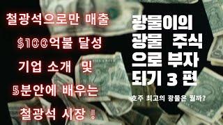 광물이의 호주 광물주식으로 부자되기 EP3 -  철광석으로만 매출 $100억불 달성 기업소개 및 철광석 5분 분석 ! [호주 주식]