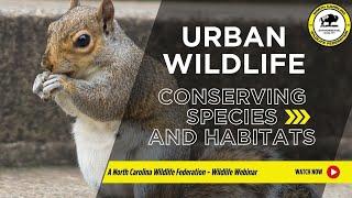 Urban Wildlife: Conserving Species and Habitats - North Carolina Wildlife Federation