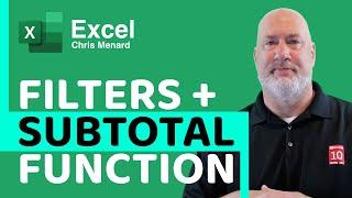 Excel Filters with the SUBTOTAL Function