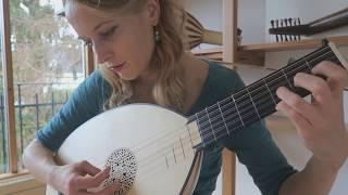 Ieva Baltmiskyte plays Pleurez Mes Yeux (Sandrin) by Albert de Rippe on 6 course lute by Muzikkon