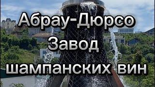 Путешествие по России на машине, АБРАУ-ДЮРСО завод шампанских вин #автопутешествие #абраудюрсо