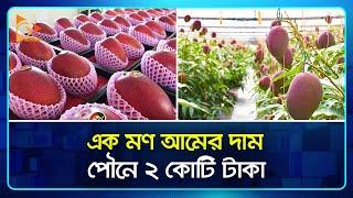 এক মণ আমের দাম পৌনে ২ কোটি টাকা | Mango | Miyazaki Mango | Price | Langra | Himsagar | Nagorik TV