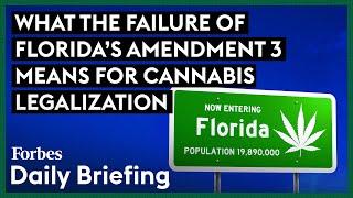 Here's What The Failure Of Florida’s Amendment 3 Means For Cannabis Legalization