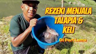 Misi Menjala Talapia di Port Lama//Rezeki banyak Keli #gengdunia #fish