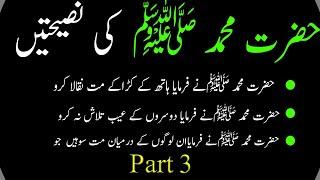 Hazrat Muhammad (S.A.W) ki Naseehatain | Part 3 | Adab mini