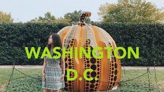 华盛顿旅行日记 | WASHINGTON D.C. Travel Vlog | Anna Ge (museums, monuments, food,华盛顿,景点...）