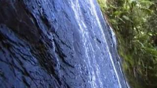 La Coca Falls in El Yunque with the family.