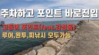 고등어 낚시 포인트 감성돔까지 나오는 깨끗한 화장실 넓은주차장 편의점까지 완벽 발판좋고 주차후 바로 포인트진입