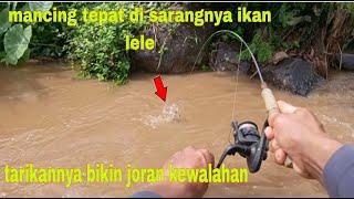 MANCING IKAN LELE LOKAL DI SUNGAI #LM21