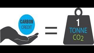 கார்பன் கிரடிட் என்றால் என்ன? அதன் முக்கியத்துவம்(What is carbon credit & its importance?