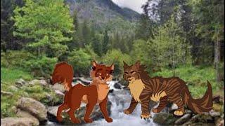 Warrior cat rewritten by someone who doesn’t read warrior cat (first book) (read desc)