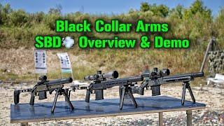 Black Collar Arms SBD Integrally Suppressed Firearms Overview & Demo