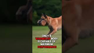 IGP specific Preparation – Warm Up & Cool Down