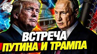 Путин и Трамп скоро встретятся: несколько стран готовы организовать переговоры