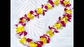 Hawaiian Lei | Fresh Flower Lei | Hawaii - BuyHawaiianLei.com