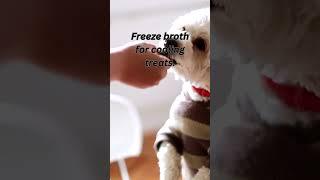 Cool Pups Love Frozen Treats with Broth #dognutritiontips #dog #petnutrition