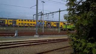 Trein stopt op koninginnedag IV