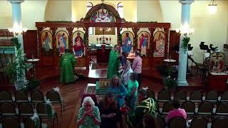 Holy Resurrection Orthodox Church, Palatine, IL Live Stream